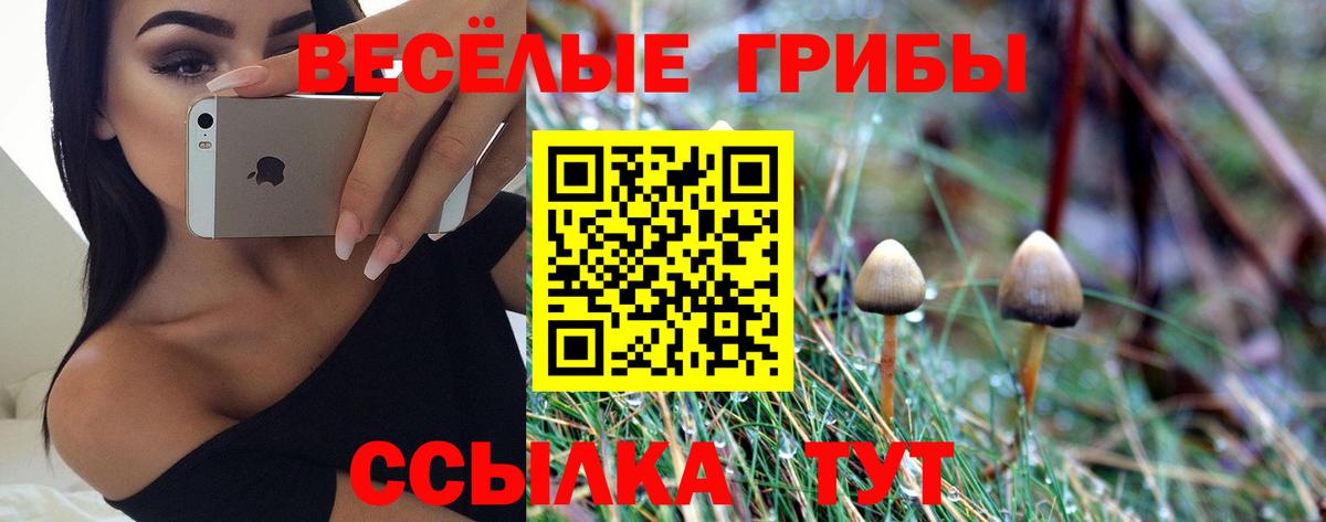 Галлюциногенные грибы GOLDEN TEACHER Бийск